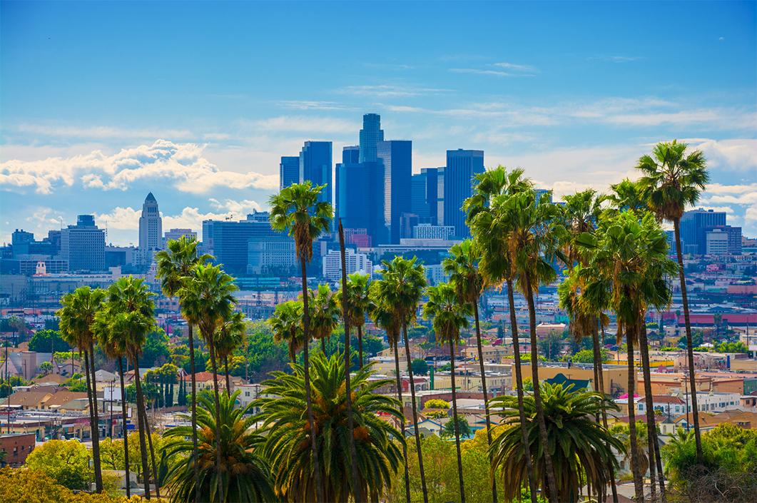 Views of palm trees and the skyline of Los Angeles