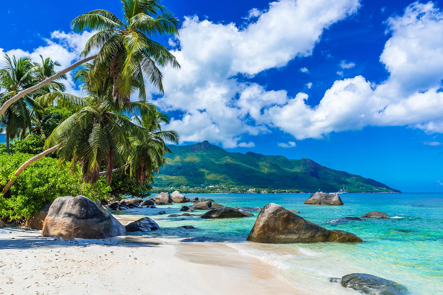 Views of palm tree beaches and mountains with Seychelles vacation packages